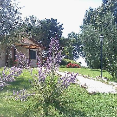Casale Dinelli Villa Tarquinia Phòng bức ảnh